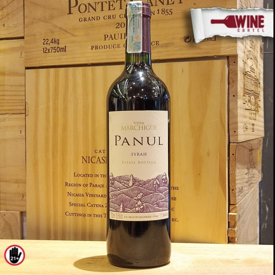 RED WINE Vina Marchigue Panul Syrah 750ml ITALY