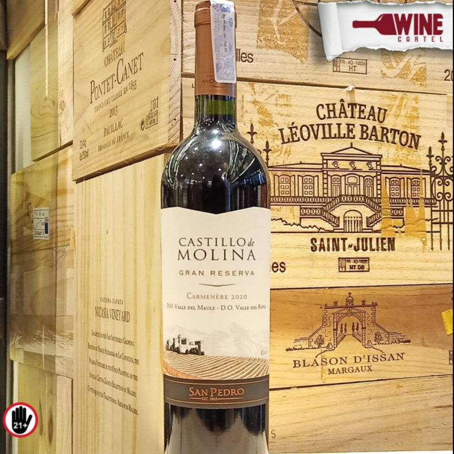 RED WINE San Pedro Castillo De Molina Carmenere 750mL CHILE