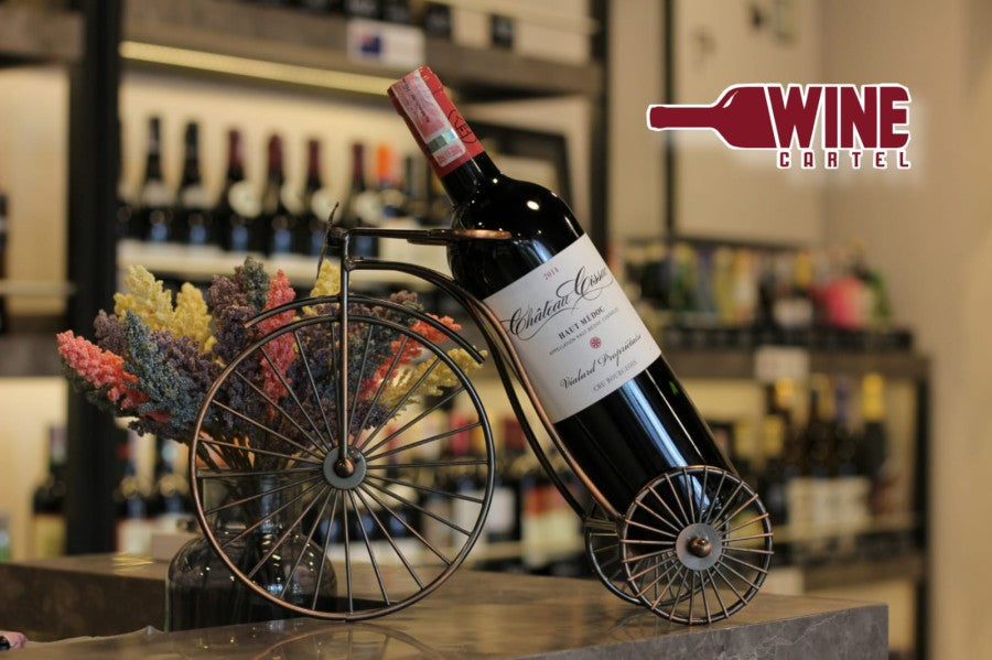RED WINE CHATEAU CISSAC Haut Medoc Red Wine 750ml FRANCE