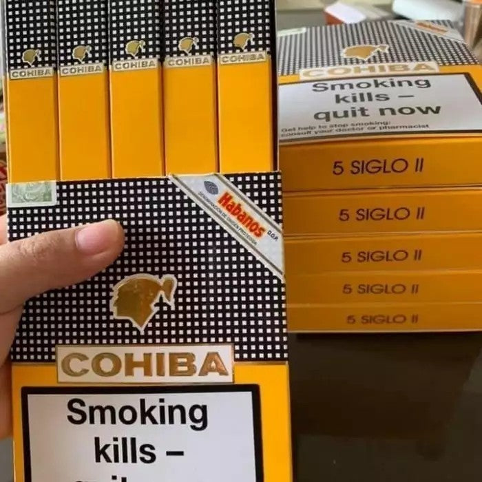 Cigar Cerutu Cohiba Siglo I (25)