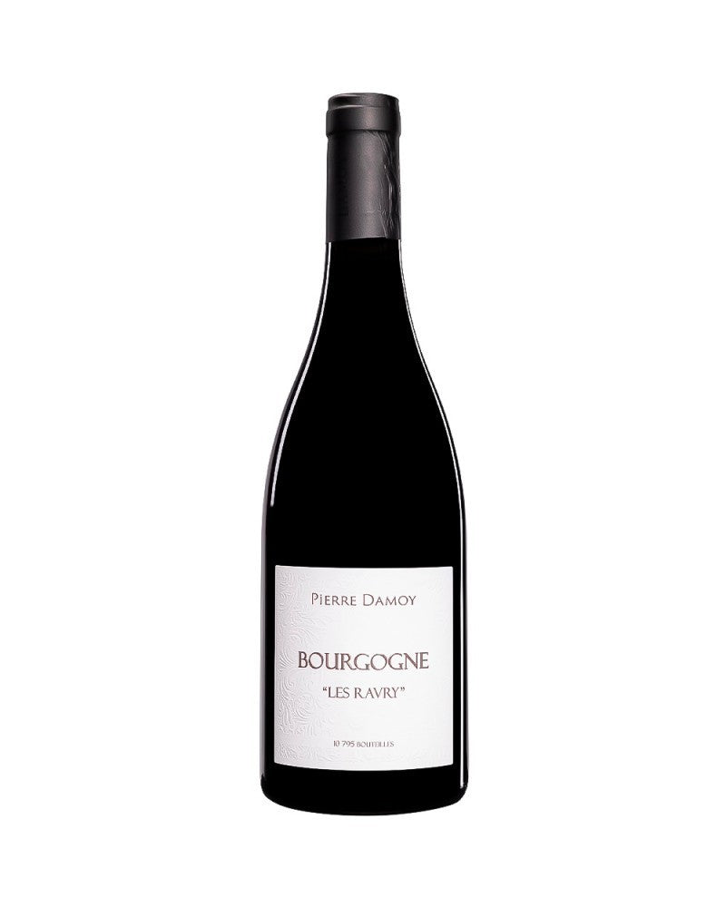 Red Wine Domaine Pierre Damoy Bourgogne Blanc Les Ravry Pinot Noir 2019 - 750ml FRANCE