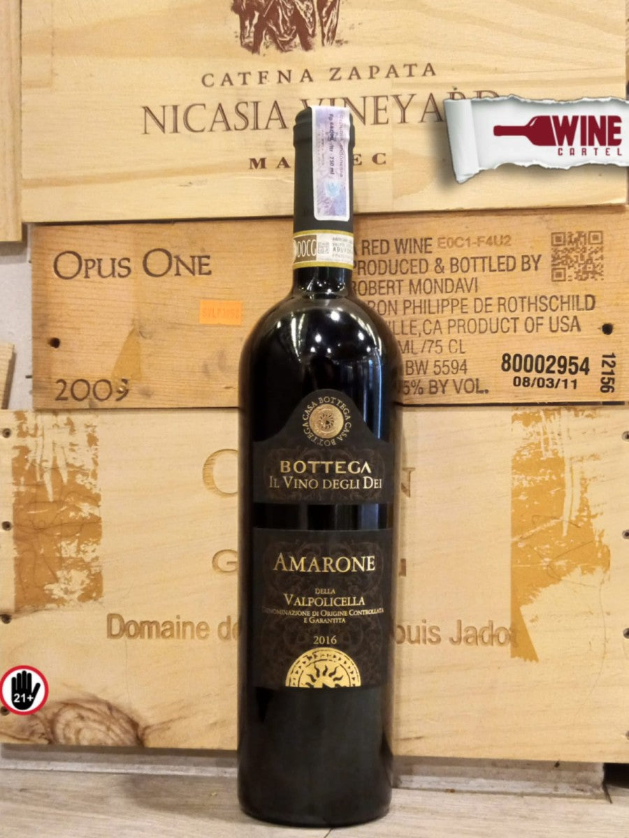 RED WINE Bottega Amarone della Valpolicella Vino Degli Dei 2016 / 2017 ITALY