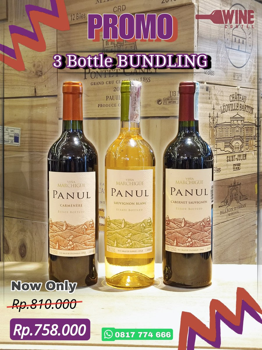PROMO BUNDLING Vina Panul Red White WINE 3 Bottle BUNDLE 3 botol Special Price CHILE