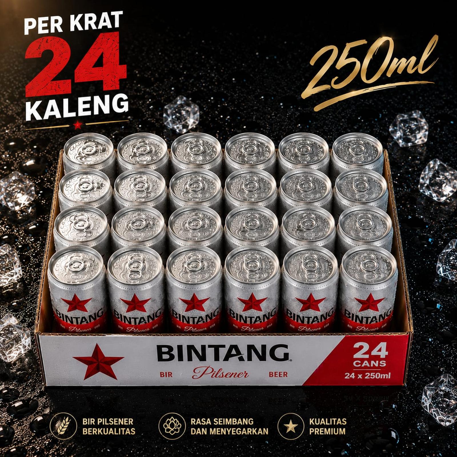 1 Ctn BIR Bintang Pilsener Kaleng Can Beer 250mL x24 Kaleng / Krat