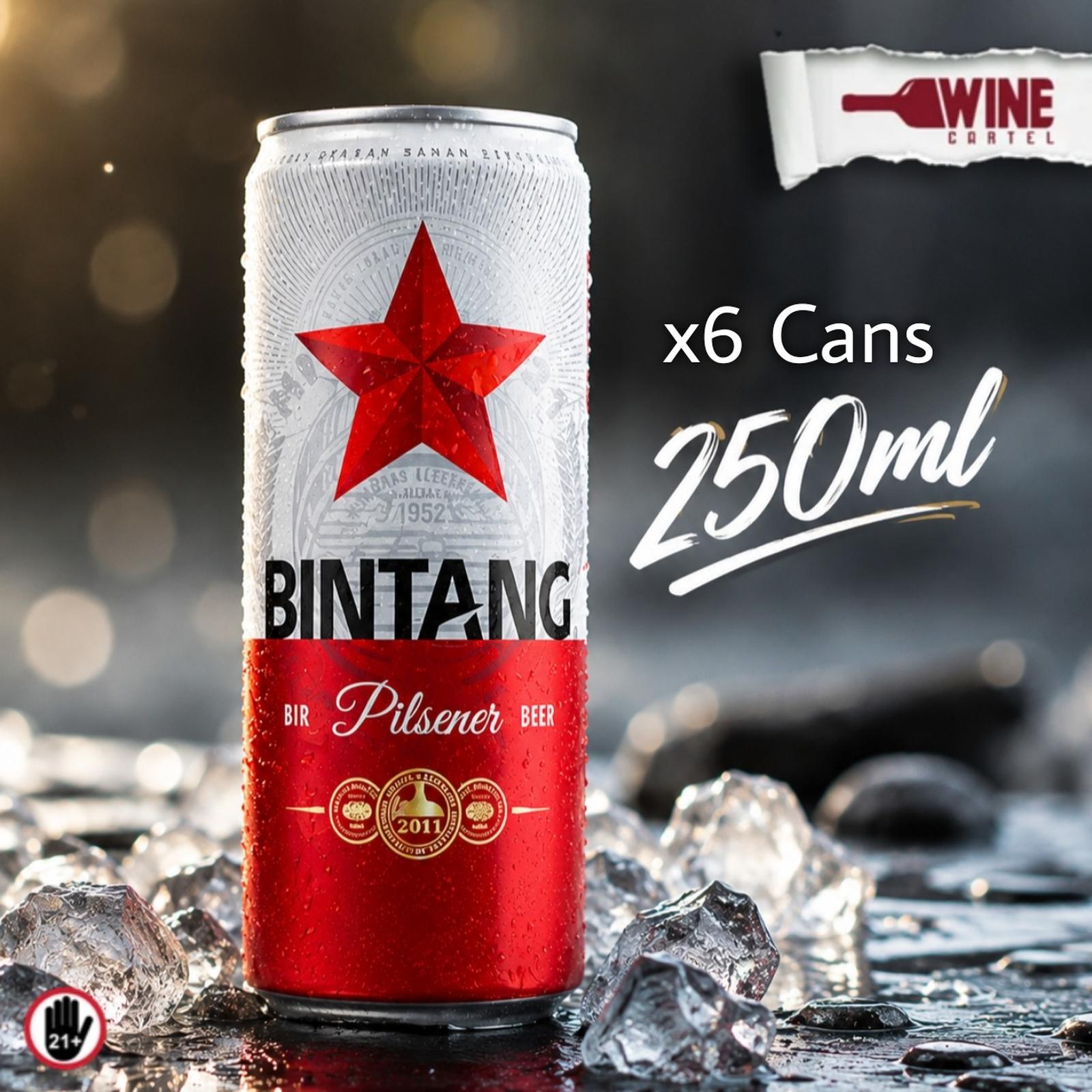 BIR Bintang Pilsener Kaleng Can Beer 250mL x6 Kaleng