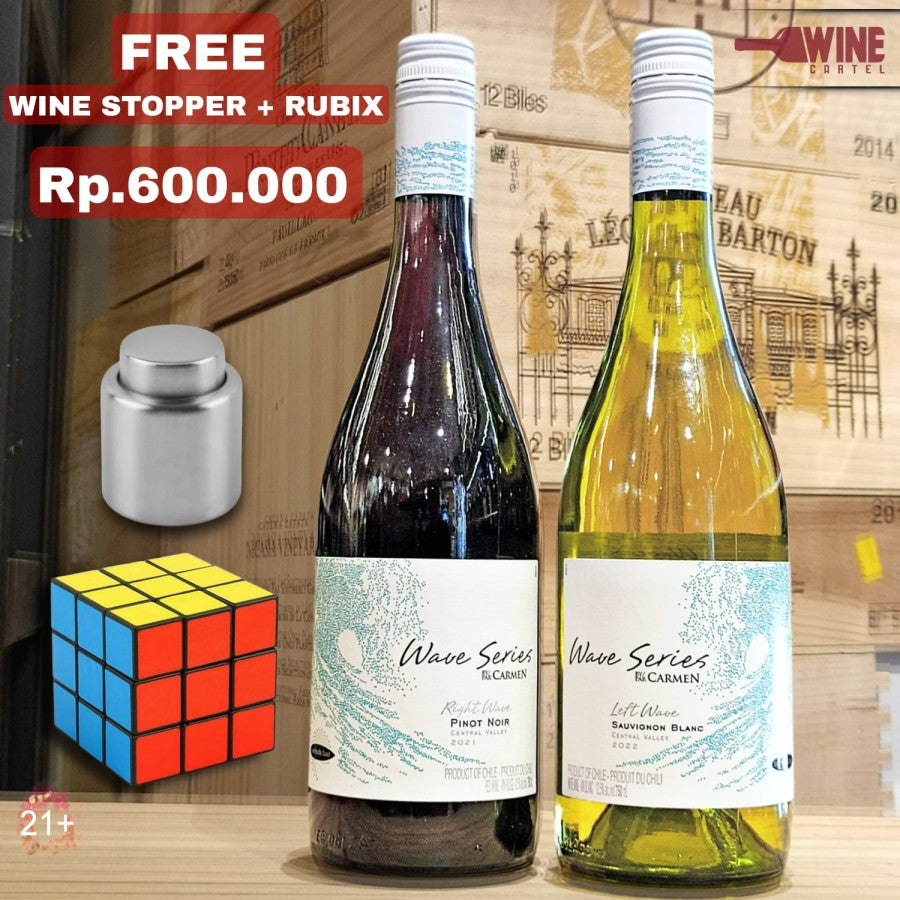 Bundling RED WHITE Wine Carmen Wave Series Pinot Noir Sauvignon Blanc CHILE