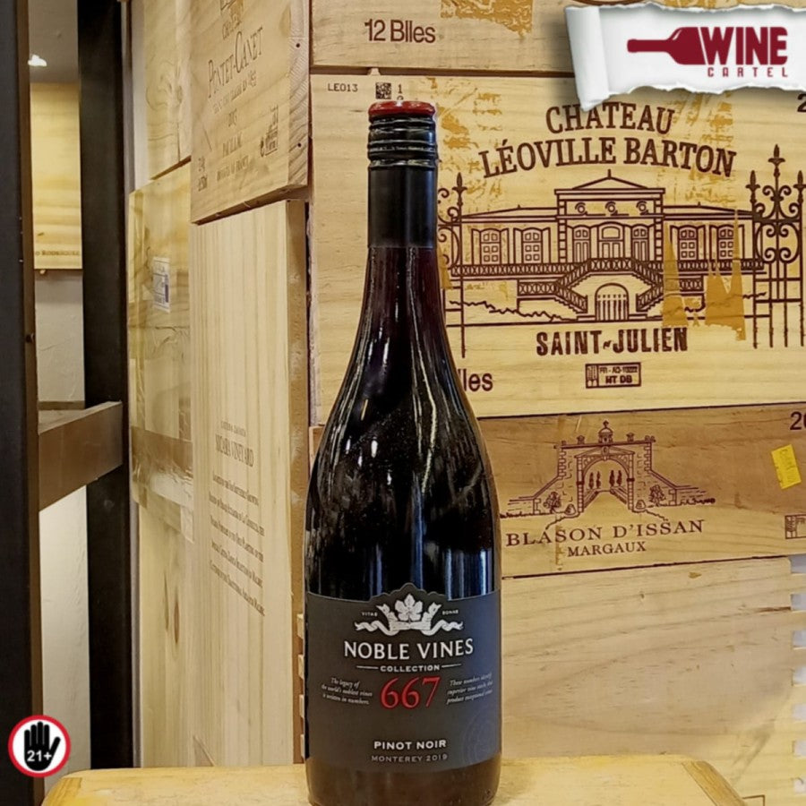 RED WINE Noble Vines 667 Pinot Noir - Noble Vines 181 Merlot 750mL UNITED STATES