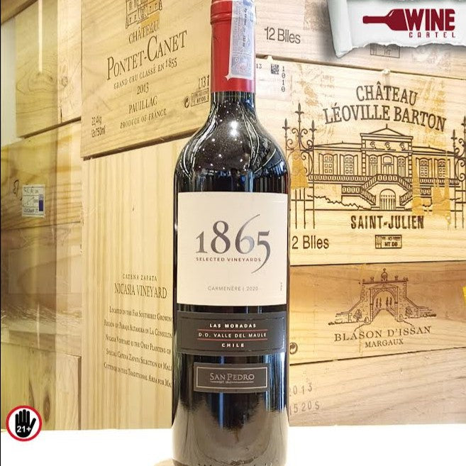 RED WINE San Pedro 1865 Selected Vineyard Carmenere 750mL CHILE