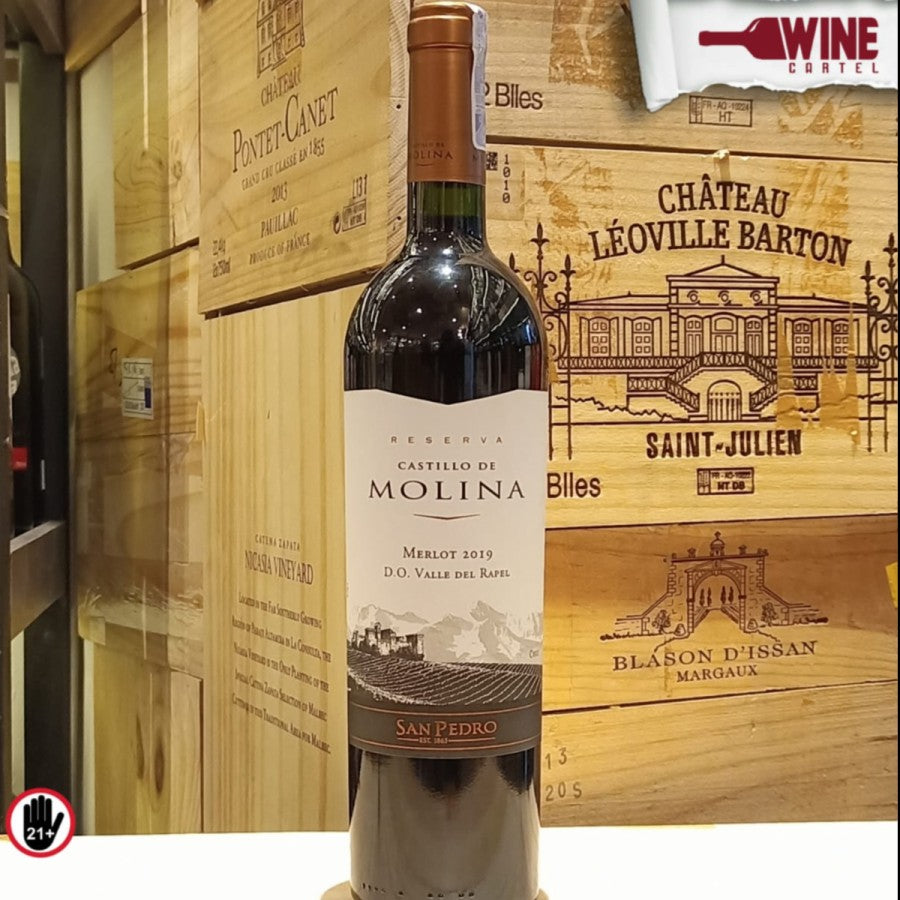 RED WINE San Pedro Castillo De Molina Merlot 750mL CHILE